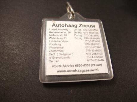 Autohaag Zeeuw, Renault dealer, Den Haag, 's-Gravenzande, De Lier, Delft ( Westland)Zoetermeer,Wassenaar,Voorburg,Leidschendam (2)